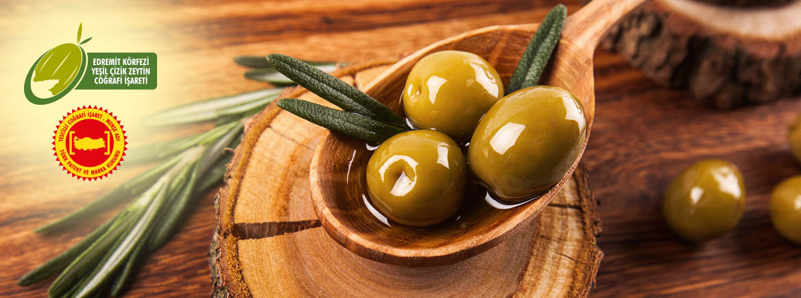 Zeytin